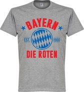 Bayern Munchen Established T-Shirt - Grijs - XXXXL