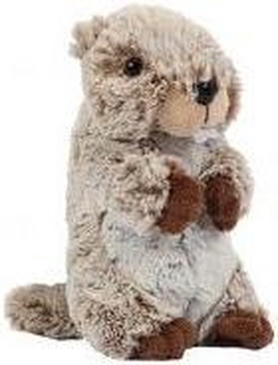 Peluche Marmotte 22 cm - Au Gardénia