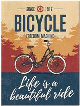 Magneet Bicycle - Beautiful Ride