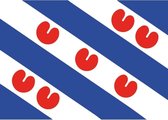 20x Binnen en buiten stickers Friesland 10 cm - Friese vlag stickers - Supporter feestartikelen - Landen decoratie en versieringen
