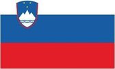 10x Binnen en buiten stickers Slovenie 10 cm -  Sloveense vlag stickers - Supporter feestartikelen - Landen decoratie en versieringen