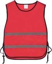 Trainingshesje Rood