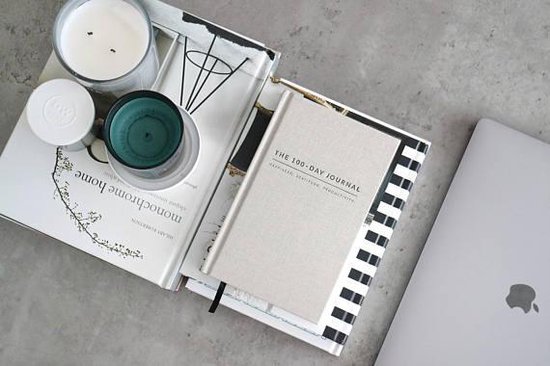 The 100 day journal - 14x22 cm