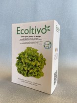 ECOLTIVO krulsla - hydrocultuur (groeit op water)