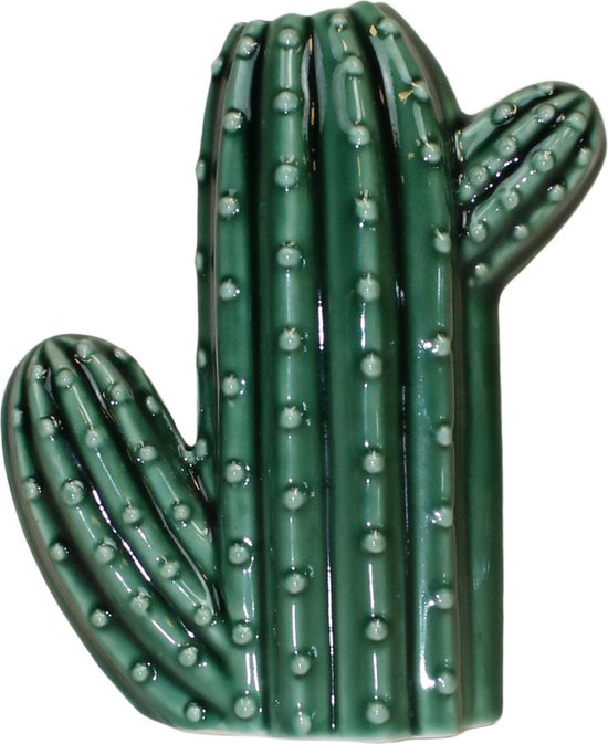 Wonder Over het algemeen George Hanbury Housevitamin cactus vaas keramiek 14cm | bol.com