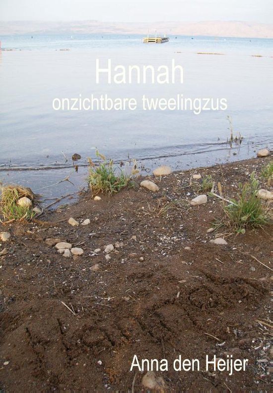 Cover van het boek 'Hannah, Onzichtbare Tweelingzus'