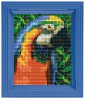 Pixelhobby Geschenkverpakking papegaai
