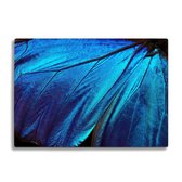 Glassnijplank - Blauwe Vleugel - Glazen  Snijplanken - 35×25 cm - 4mm