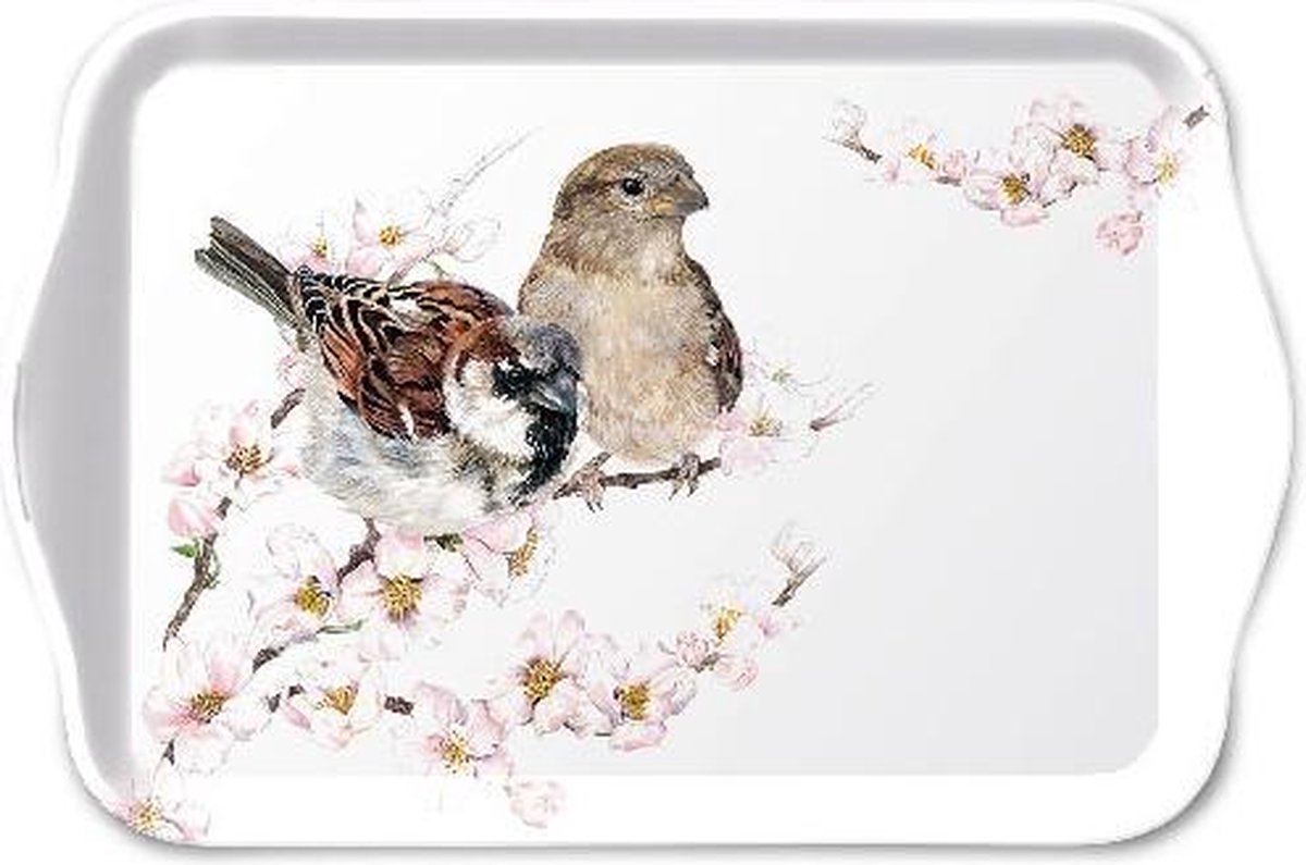 Ambiente Dienblad Storing for Winter - Feest Voor Vogels