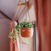 Hangende bloempot oogjes Terracotta - Sass & Belle