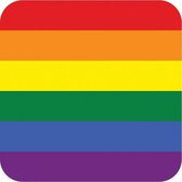75 stuks Bierviltjes regenboog thema print - rainbow feestartikelen/versiering