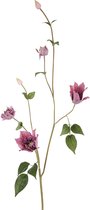 Viv! Home Luxuries Clematis - zijden bloem - paars - 112cm - topkwaliteit