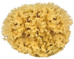 Croll & Denecke Natuurspons – Natuurlijke spons – Badspons – 100% Natuurlijk & Plasticvrij – ⌀ 16 cm