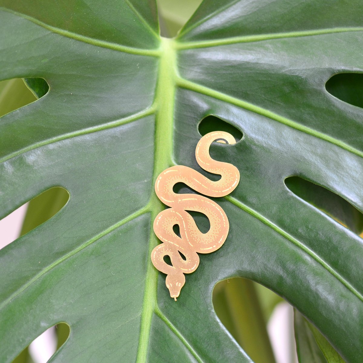 Slang Plant Animal Snake Bol