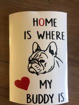 home is where my buddy is