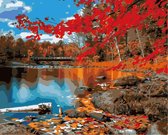 Schilderen op Nummer – Natuur Herfst - 40x50cm – Schilderen op Nummer Kinderen - Schilderen op Nummer Volwassenen -  Compleet Pakket - Canvas Schilderen - Paint on Number - Gooda
