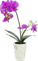 Europalms Orchidee kunstplant met pot - Paarse bloemen - 46cm hoog