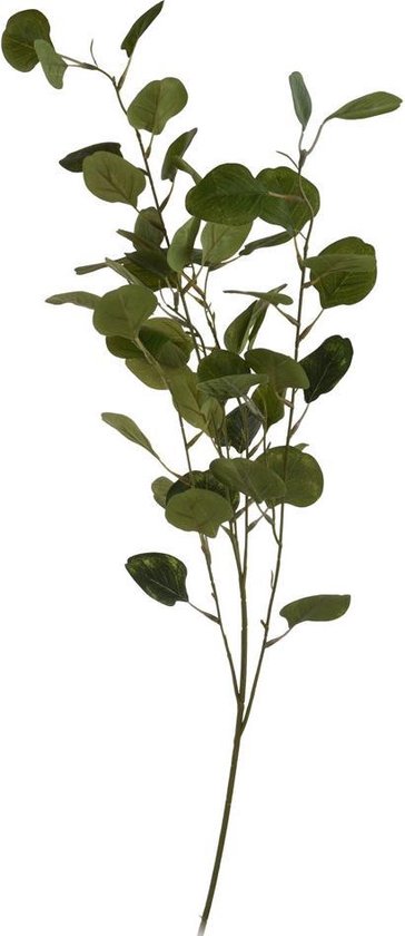 Kunst plant - Eucalyptus plant - Decoratie tak - Woondecoratie - Groen -  100 cm | bol.com