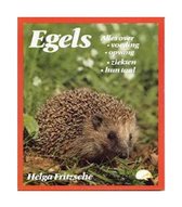 Egels