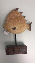 Decoratieve vis