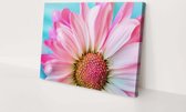 Roze bloem | 60 x 40 CM | Canvasdoek voor buiten | Schilderij | Outdoor | Tuindoek