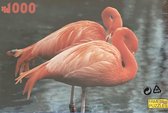 Dieren Puzzel 1000 Stukjes - Flamingo - Vogels