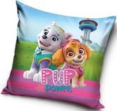 Paw patrol Skye & Everst kussen – sierkussen | gevuld 38x38cm PUP Power!