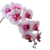 Viv! Home Luxuries Orchidee Phalaenopsis - zijden bloem - roze wit - 86cm - topkwaliteit