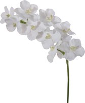 Viv! Home Luxuries Orchidee Vanda - zijden bloem - wit - 70cm - topkwaliteit