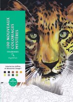 100 Nouveaux coloriages Mystères (Art thérapie) - Kleurboek voor volwassenen