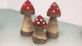 Houten paddenstoel beelden - 3 stuks