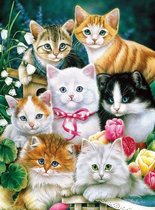 FlinQ Diamond Painting Schattige Kittens - 30cm x 40cm - Diamond Painting Hobby - Zelf Tekenen