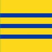 Vlag gemeente Woensdrecht 150x225 cm