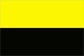 Vlag gemeente Tiel 100x150 cm