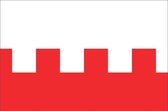 Vlag gemeente Rhenen 70x100 cm