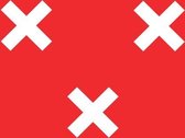 Vlag gemeente Breda 150x225 cm