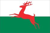 Vlag gemeente Smallingerland 70x100 cm
