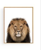 Poster Safari Leeuw Hoofd  - 80x60cm - Safari Jungle Dieren - Muurdecoratie