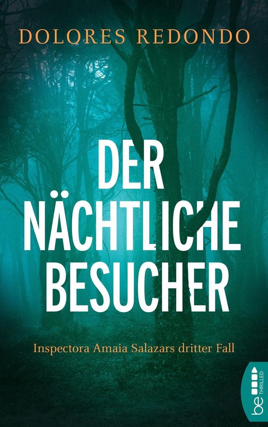 Die Baztán-Trilogie 3 - Der nächtliche Besucher - cover