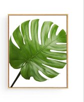 Poster Botanisch Tropisch Blad Links - 50x40cm - Planten - Muurdecoratie
