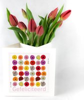 Bloomincard Tulip - Verjaardag en jubileum - bloemen en boeketten - Verse Tulpen met unieke vaas - Brievenbusbloemen - Gefeliciteerd met Tulpen en speciale kaart die je om kunt tov