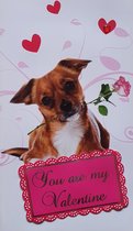 Kaart + Envelop - Valentijn - You are My Valentine - 30 x 17 cm