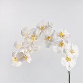 Fabulous Flowers - Kunst orchidee XXL 112 cm wit - Zijden phalaenopsis
