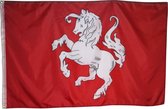 Trasal - vlag Twente - Ros van Twente - twentse vlag - 150x90cm