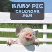 Baby Pig Calendar 2021