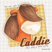 Caddie - He's only a little pony