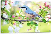 Tuinposter – Blauwe Vogel op Tak - 90x60cm Foto op Tuinposter  (wanddecoratie voor buiten en binnen)