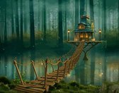 Paint by number voor volwassenen – schilderen op nummer – Zwevend huis in bos - fantasy - sprookjesachtig landschap – sprookje - diy – zonder frame - 40x50cm