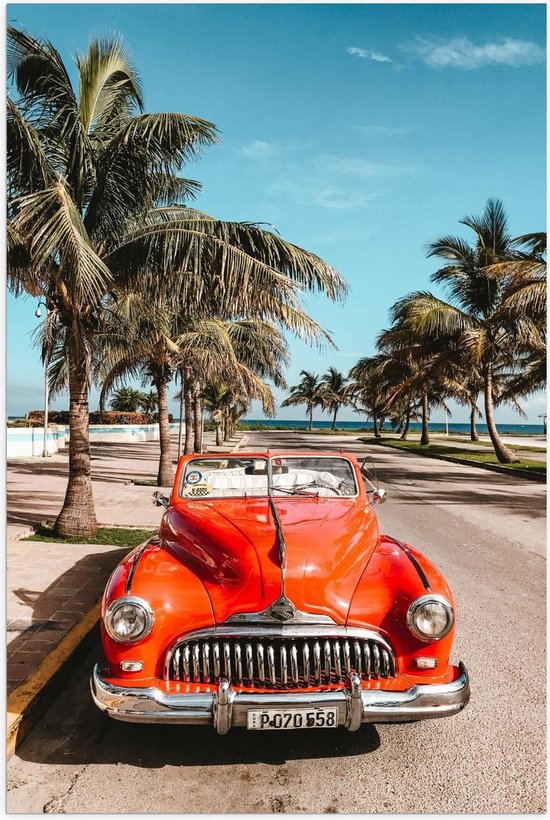 Poster – Rode Cabrio op de Weg bij Palmbomen - 60x90cm Foto op Posterpapier
