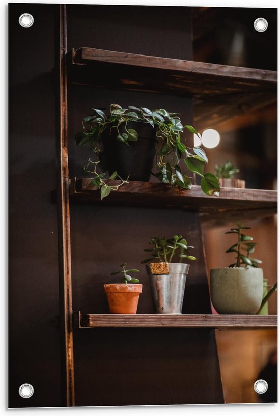 Tuinposter – Bruine Kast met Planten in Herfst Thema - 40x60cm Foto op Tuinposter  (wanddecoratie voor buiten en binnen)